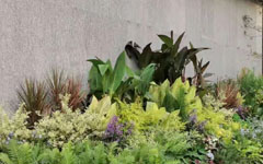 不看不知道，客戶這一年又做了這么多園林項(xiàng)目！